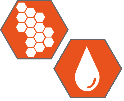 Cell count and water absorption icons in orange hexagons