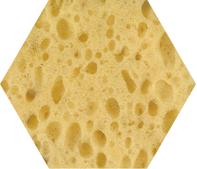 large pore honeycomb foam